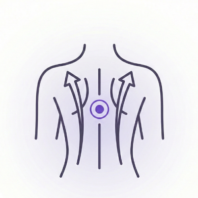 Strengthens the back for better posture